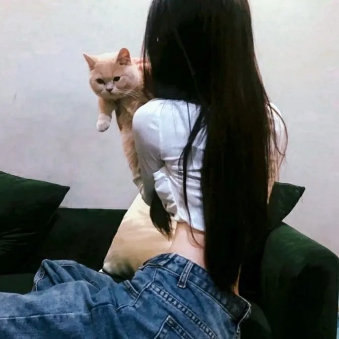 火影忍者疾风传
